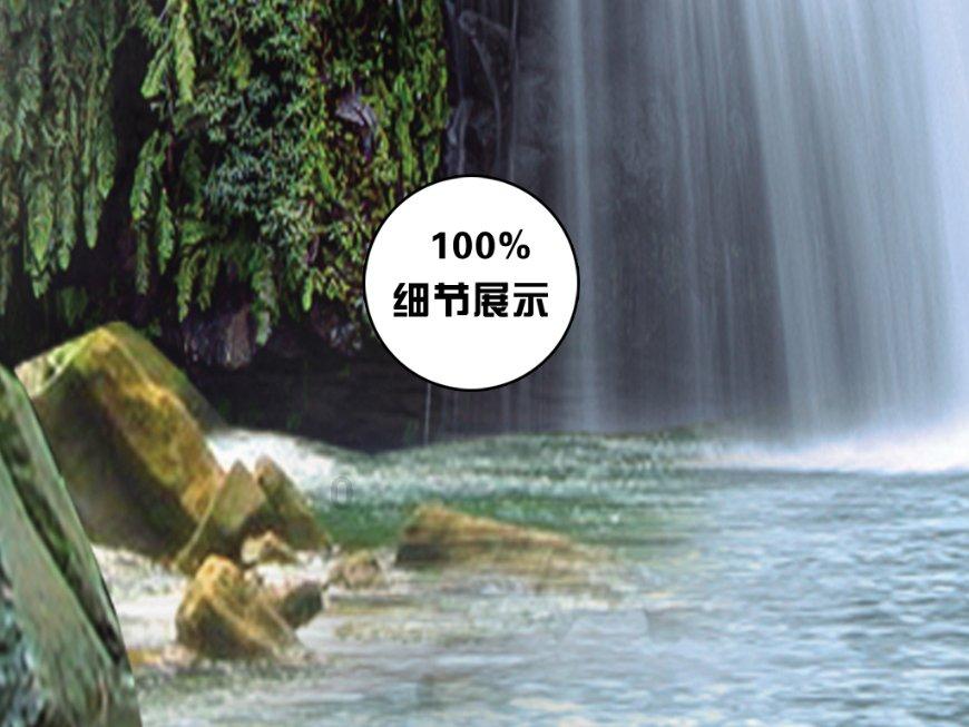 世纪之案