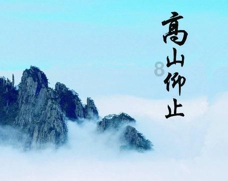 淘气兔救援
