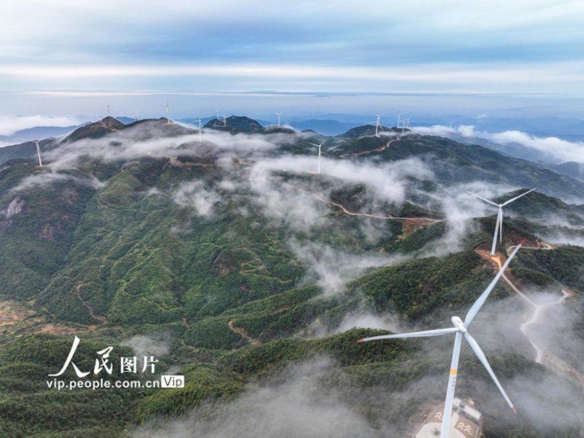 集邮者的收藏