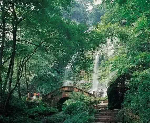 虫虫助手下载