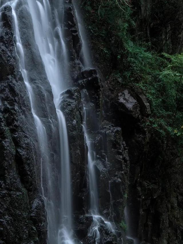 虫虫助手下载