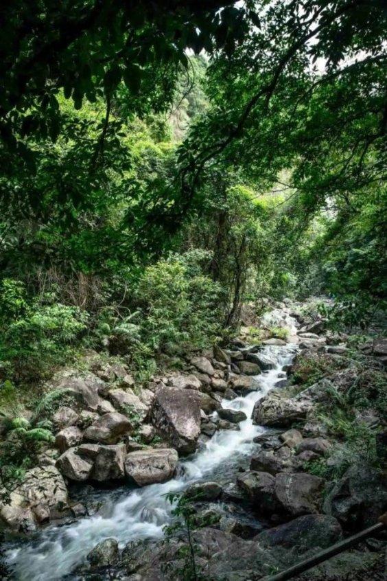 漂亮公主填色