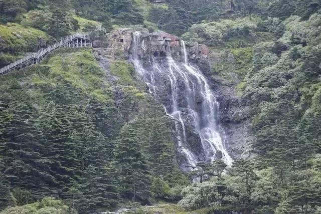 小猫钓鱼游戏龙王版有船