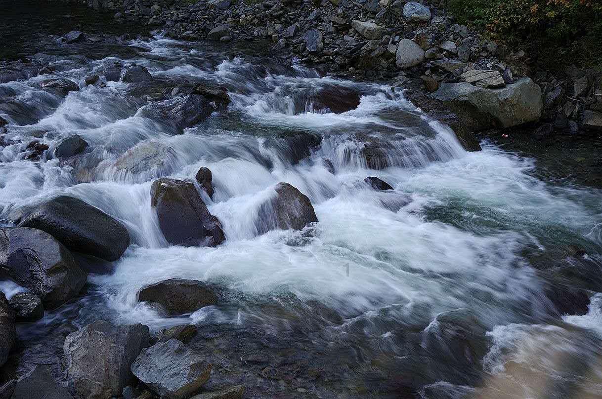 逃离森林小房