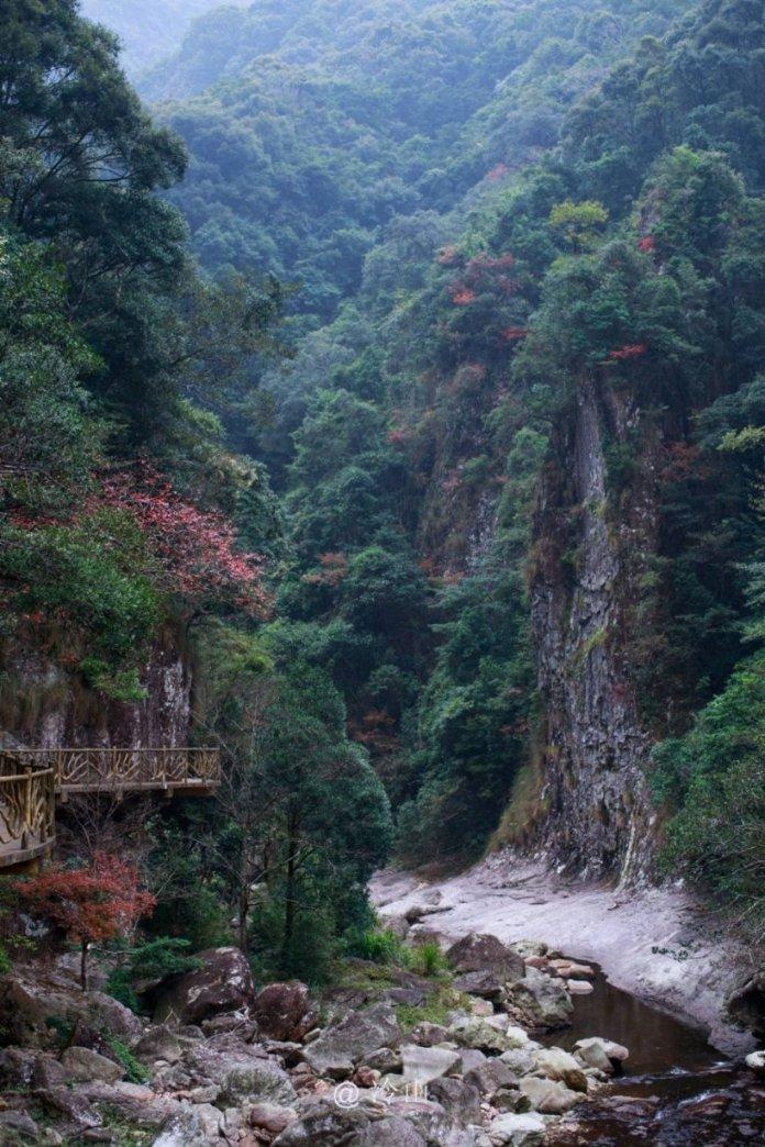 植物大战僵尸1