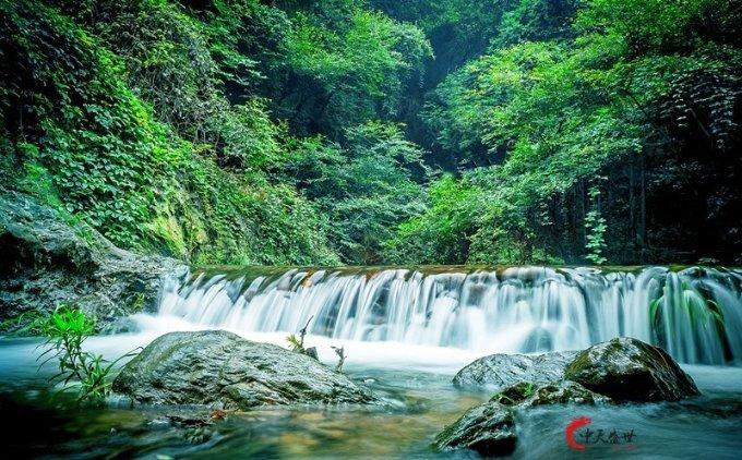 “顶流”姜涛人气暴跌,被集体脱粉后大受打击