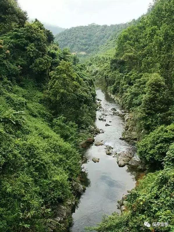 水果甜心经典版