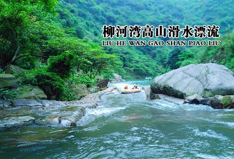 突发！李玟迎来49岁冥诞后，李玟86岁的老妈妈前来纪念，场面感人