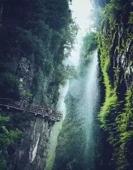 超级坦克消灭僵尸