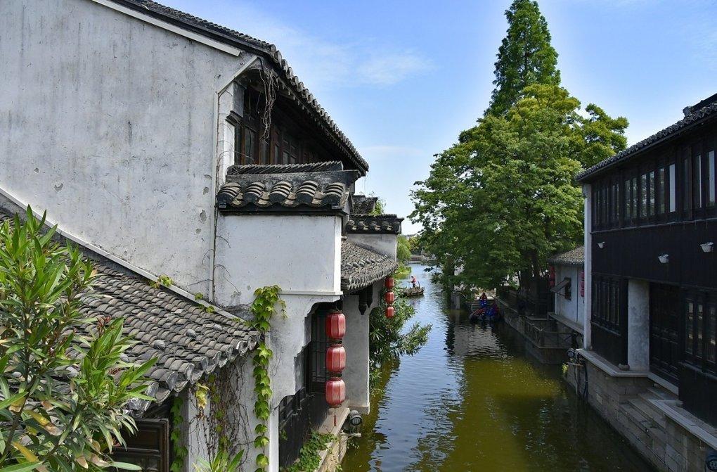 救援花栗鼠