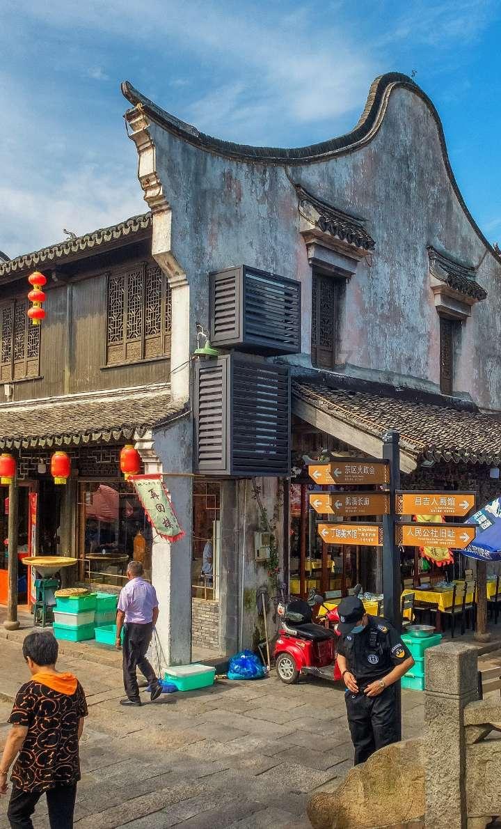 破碎的动物图形3
