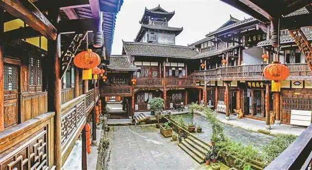 动物帮帮忙保卫家园