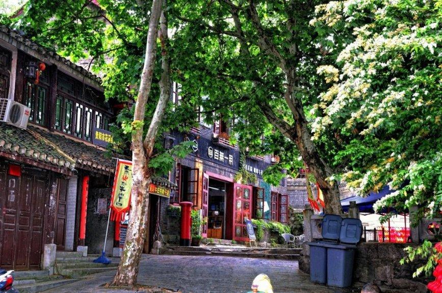大麦和小麦的区别图片游戏画面