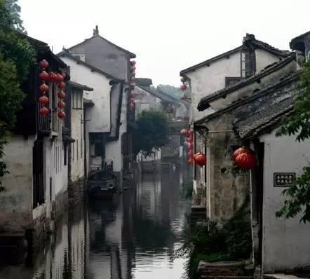 唯一的幸存者