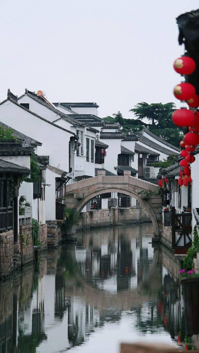 寻找奈良树花