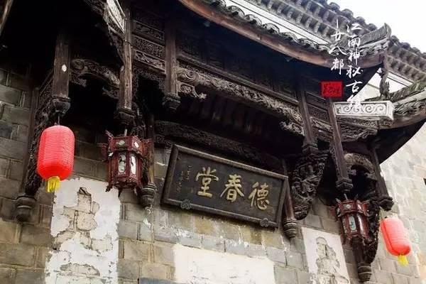 救援小袋熊