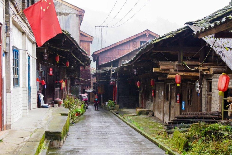 动物帮帮忙保卫家园