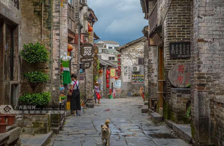 寻找火鸡