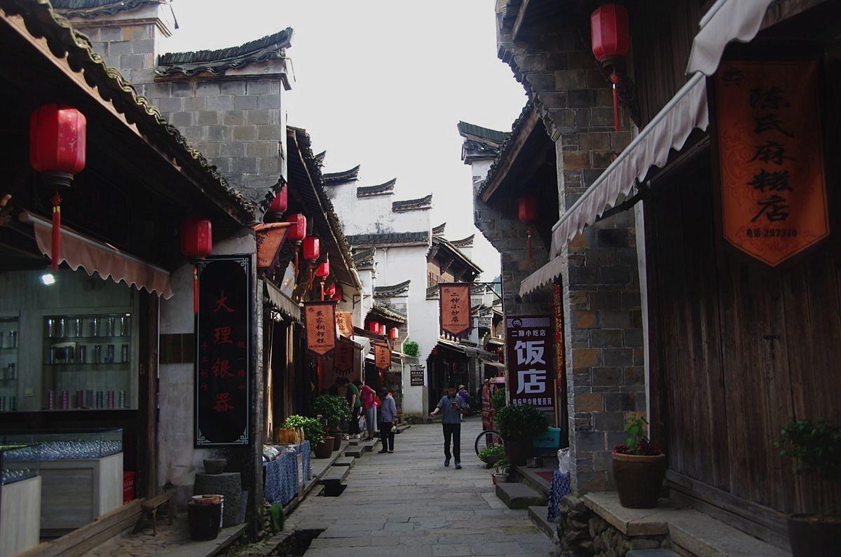 栈桥海滨,与鸥同“奏”