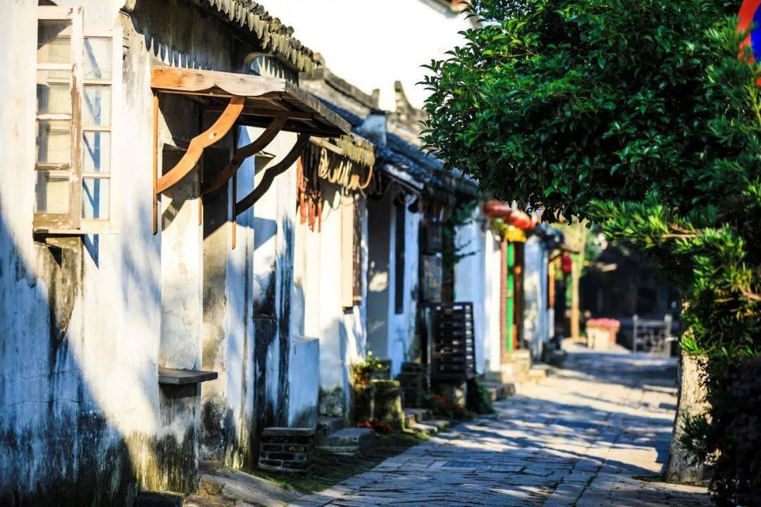 逗小猴开心系列177