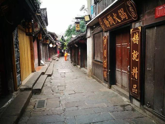 动物帮帮忙保卫家园