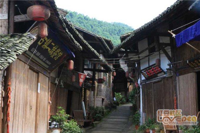 聚力建设瓯江新城 加快全域协同发展