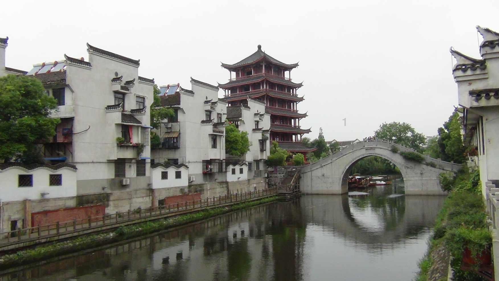 除虫大师