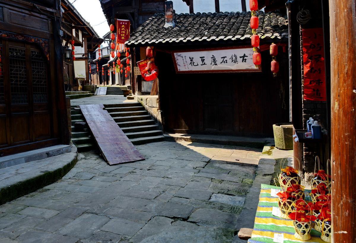 逃离橡子树种植地
