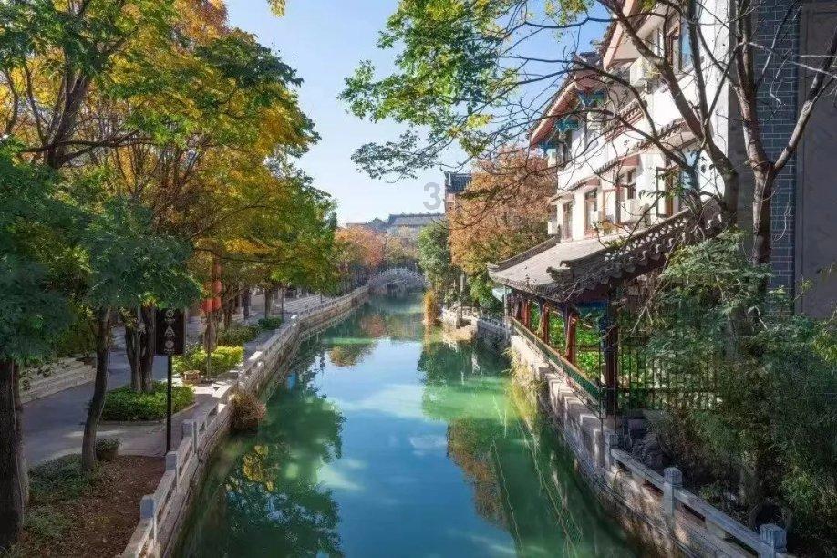 琴覆天下