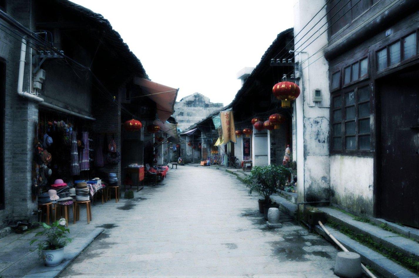 动物帮帮忙保卫家园