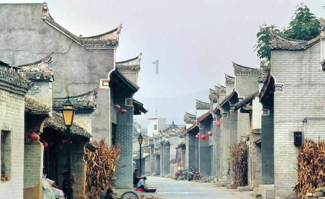 韩国人买二手!打开柜子跑出猫可是血赚啊