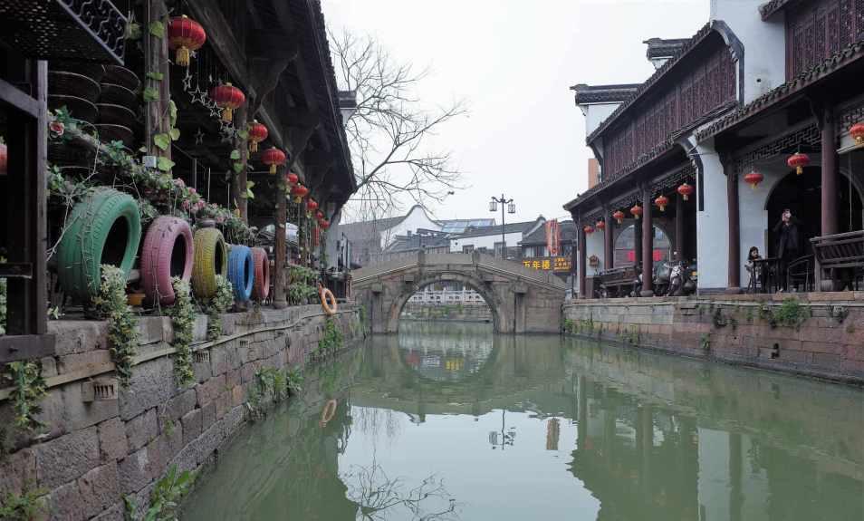 很急但很暖!大雪压塌大棚,武义高山上,8万斤萝卜留不住了