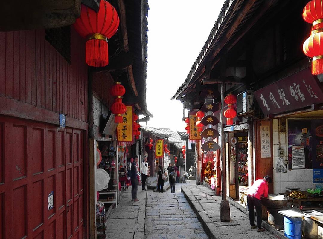 动物帮帮忙保卫家园