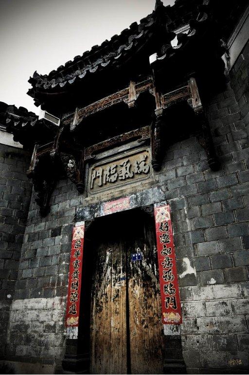 饥饿的松鼠救援