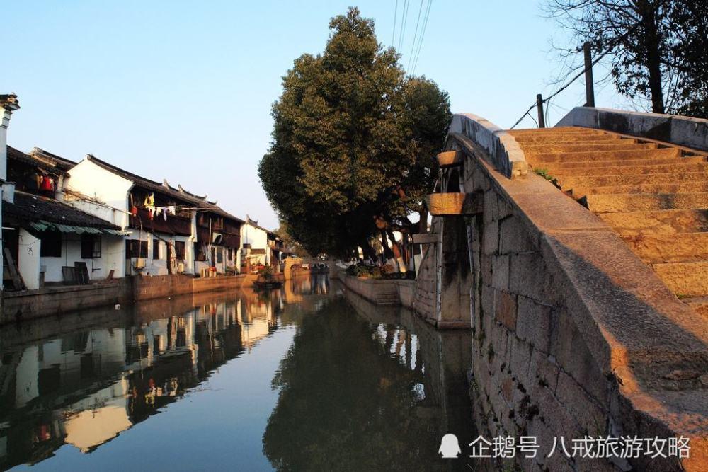 动物帮帮忙保卫家园