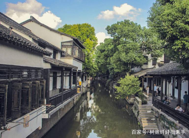 破碎的动物图形3