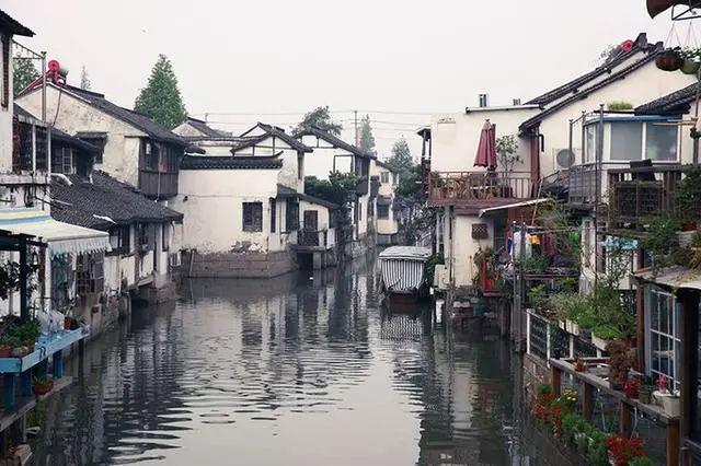 脑洞小老弟无实名认证