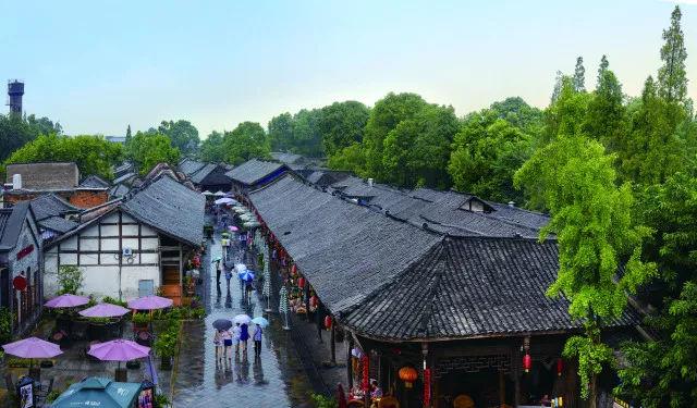 第六届中国重庆·涪陵榨菜产业国际博览会举行，“榨菜产业大脑”正式发布