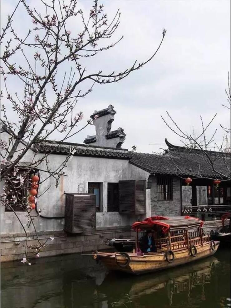 我要当大触