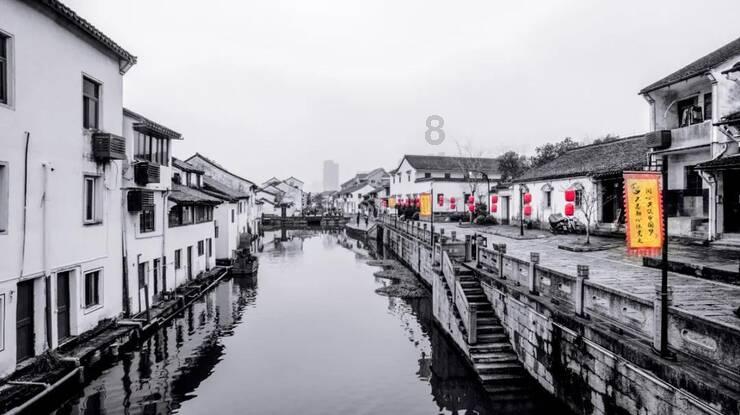 救援淘气的小狗