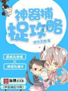 时尚太阳眼镜