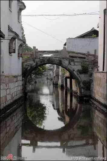 探索知识,发现乐趣——郑板桥这首新竹写出了新竹什么的特点?问答交流平台