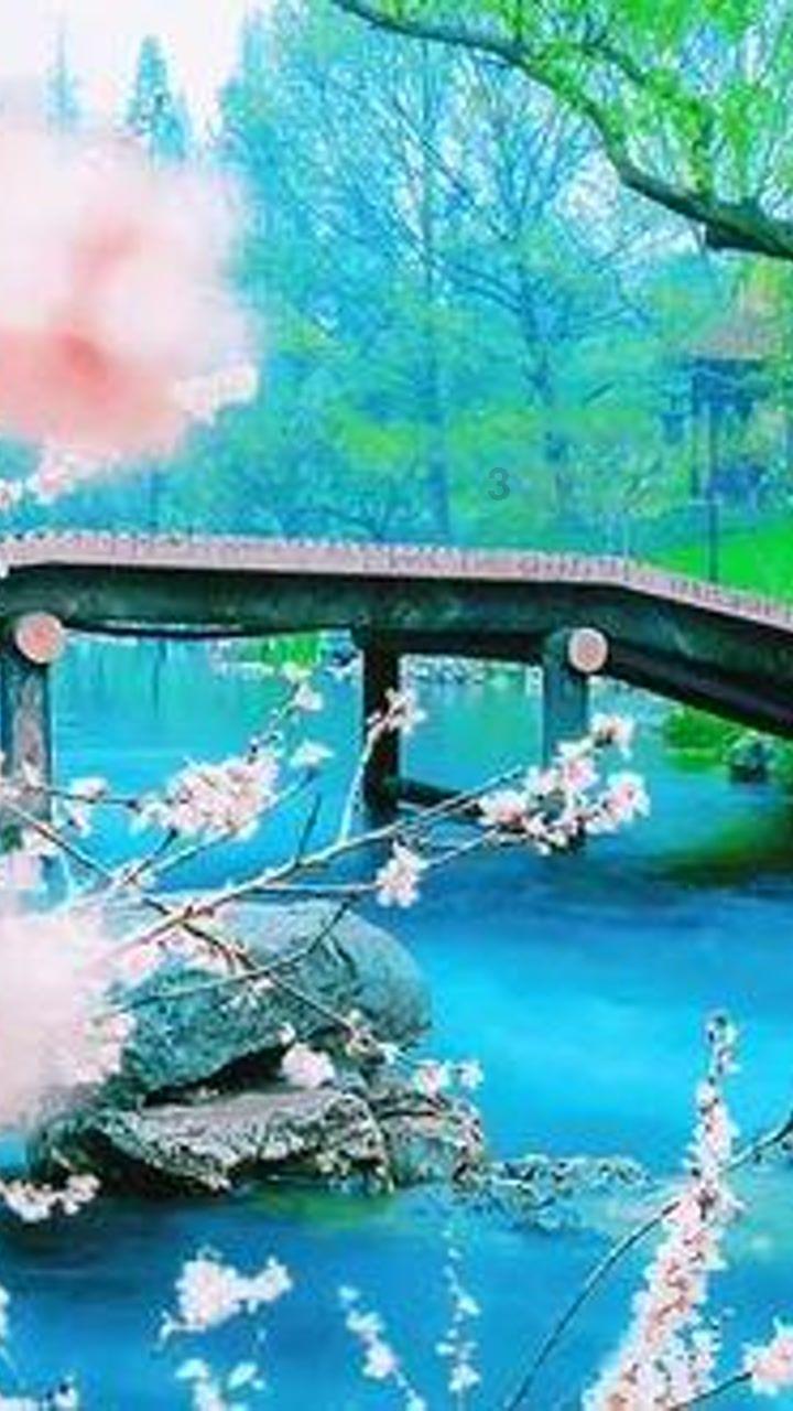 88影视
