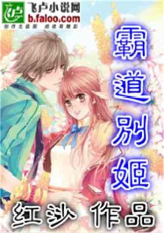 高级定制