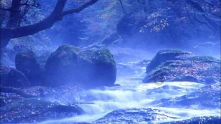 精灵格蕾