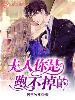美妙冬季拼图