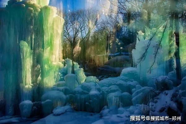 燃烧吧大脑装瓶子游戏