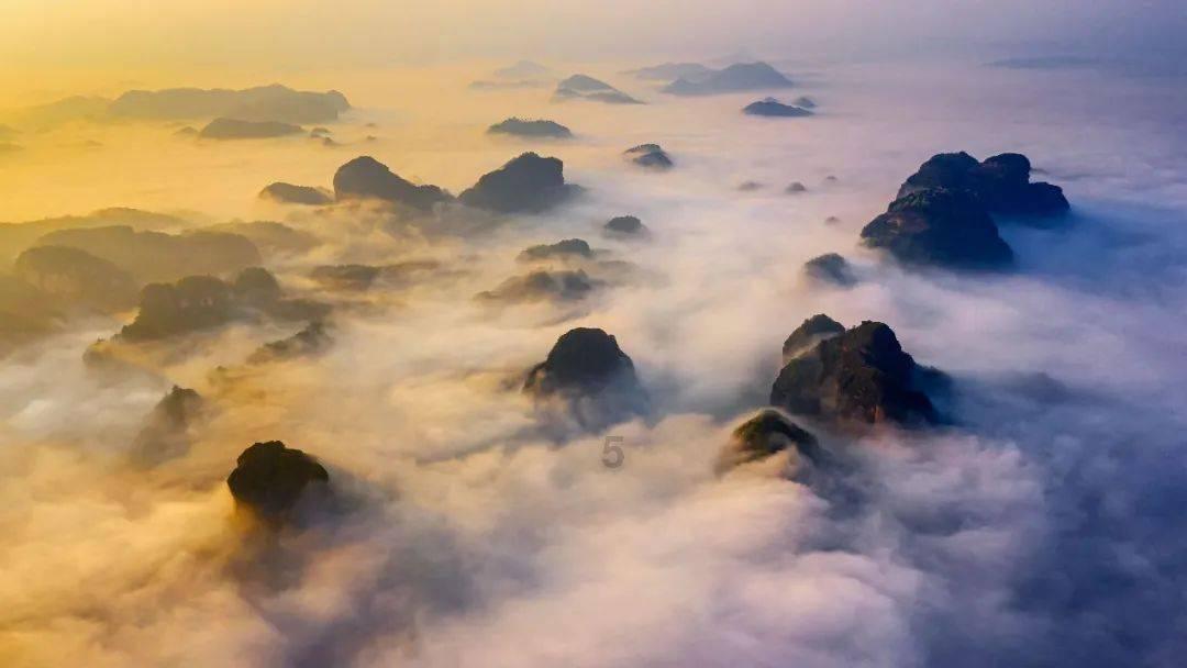 梦幻西游手游