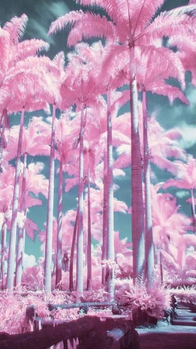史提芬填色书