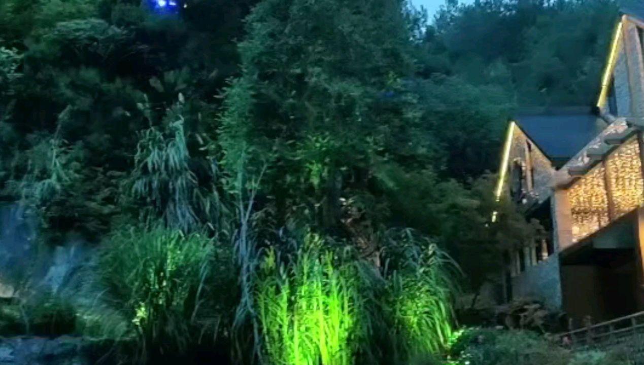 相互吞噬选关版